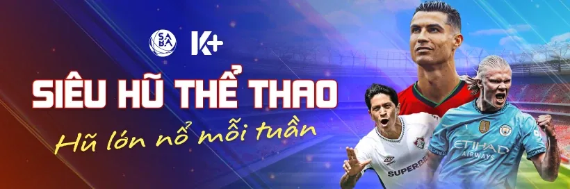 Hình ảnh minh họa các nguyên tắc cơ bản của cá cược thể thao
